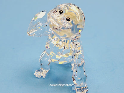 SWAROVSKI GORILLA YOUNG 273394