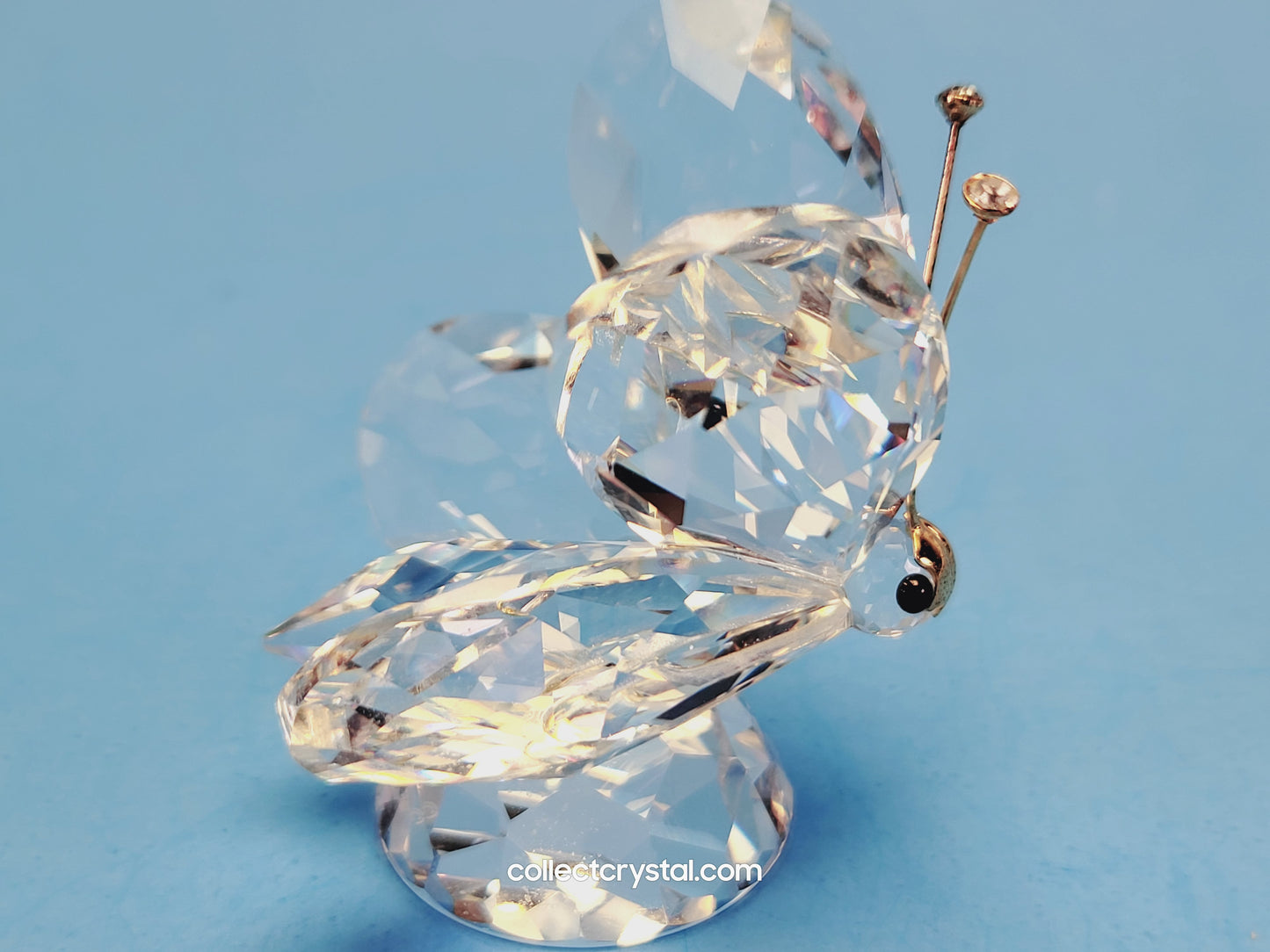 BUTTERFLY LARGE V3 CRYSTAL TIPS ON GOLD ANTENNA, MASK FACE /LARGE NOSE 010002