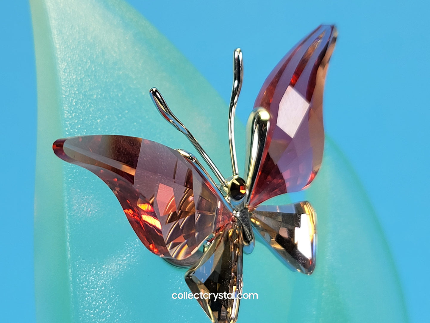 CRYSTAL PARADISE BUGS OBJECT – BUTTERFLY ALAVA PADPARADSCHA 861936