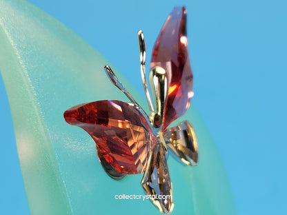 CRYSTAL PARADISE BUGS OBJECT – BUTTERFLY ALAVA PADPARADSCHA 861936