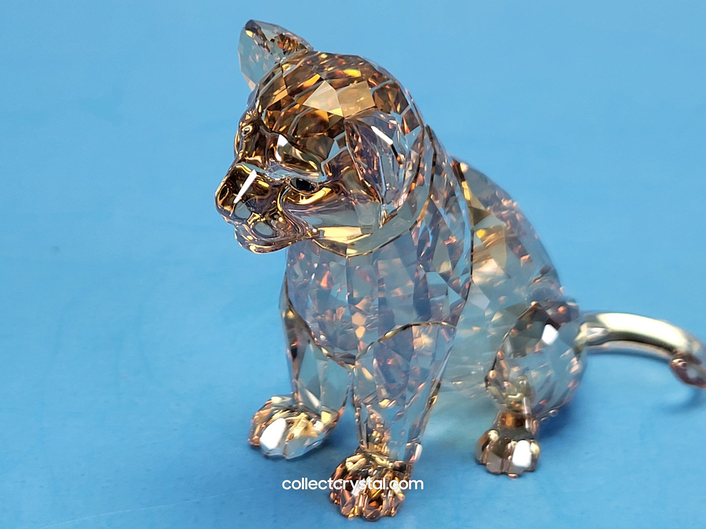 LION Cub 5135896 SCS 2016 lion cub