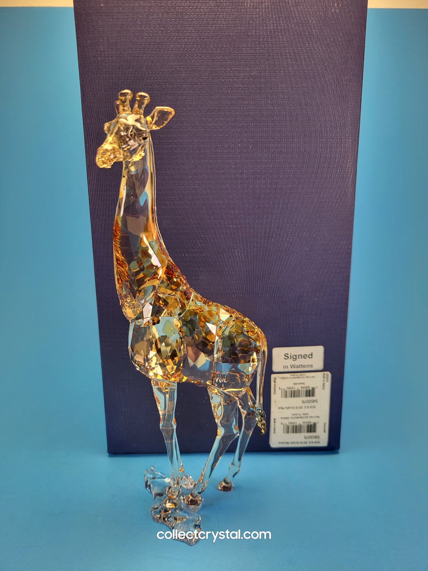 MUDIWA GIRAFFE 2018 Annual Edition 5301550 giraffe