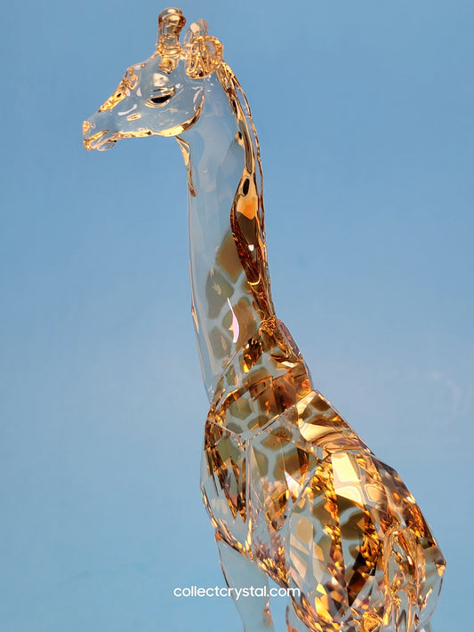 MUDIWA GIRAFFE 2018 Annual Edition 5301550 giraffe