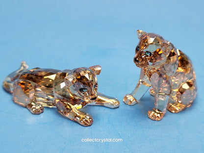 SWAROVSKI 2019 ANNUAL EDITION AMUR LEOPARD CUBS 5428542