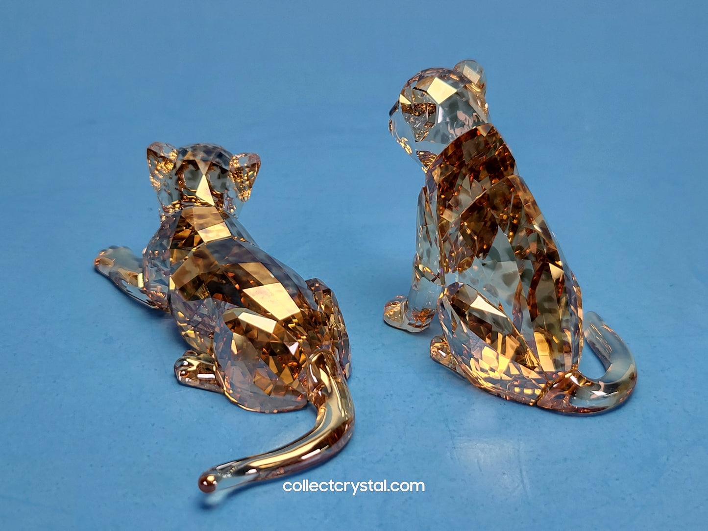 SWAROVSKI 2019 ANNUAL EDITION AMUR LEOPARD CUBS 5428542