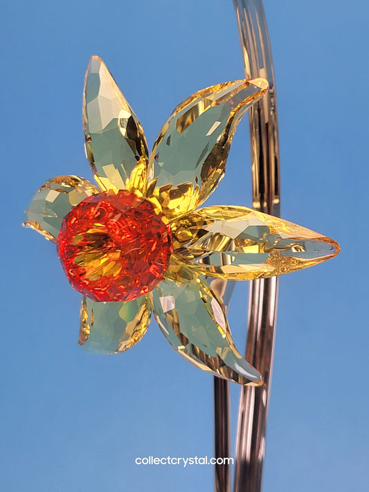 PARADISE FLOWERS – DACALI LIGHT TOPAZ 848448