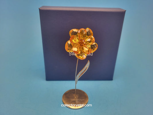 CRYSTAL PARADISE FLOWERS – DAMBULLA LIGHT TOPAZ 677618