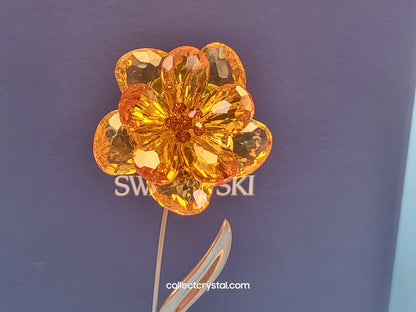 PARADISE FLOWERS – DAMBULLA LIGHT TOPAZ 677618