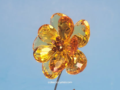 CRYSTAL PARADISE FLOWERS – DAMBULLA LIGHT TOPAZ 677618