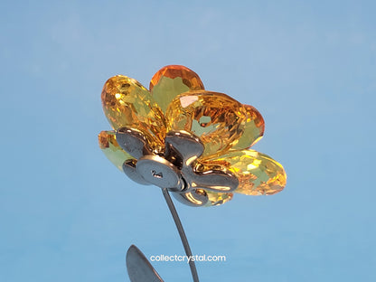 CRYSTAL PARADISE FLOWERS – DAMBULLA LIGHT TOPAZ 677618