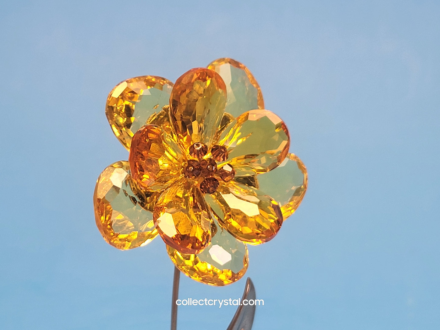 CRYSTAL PARADISE FLOWERS – DAMBULLA LIGHT TOPAZ 677618