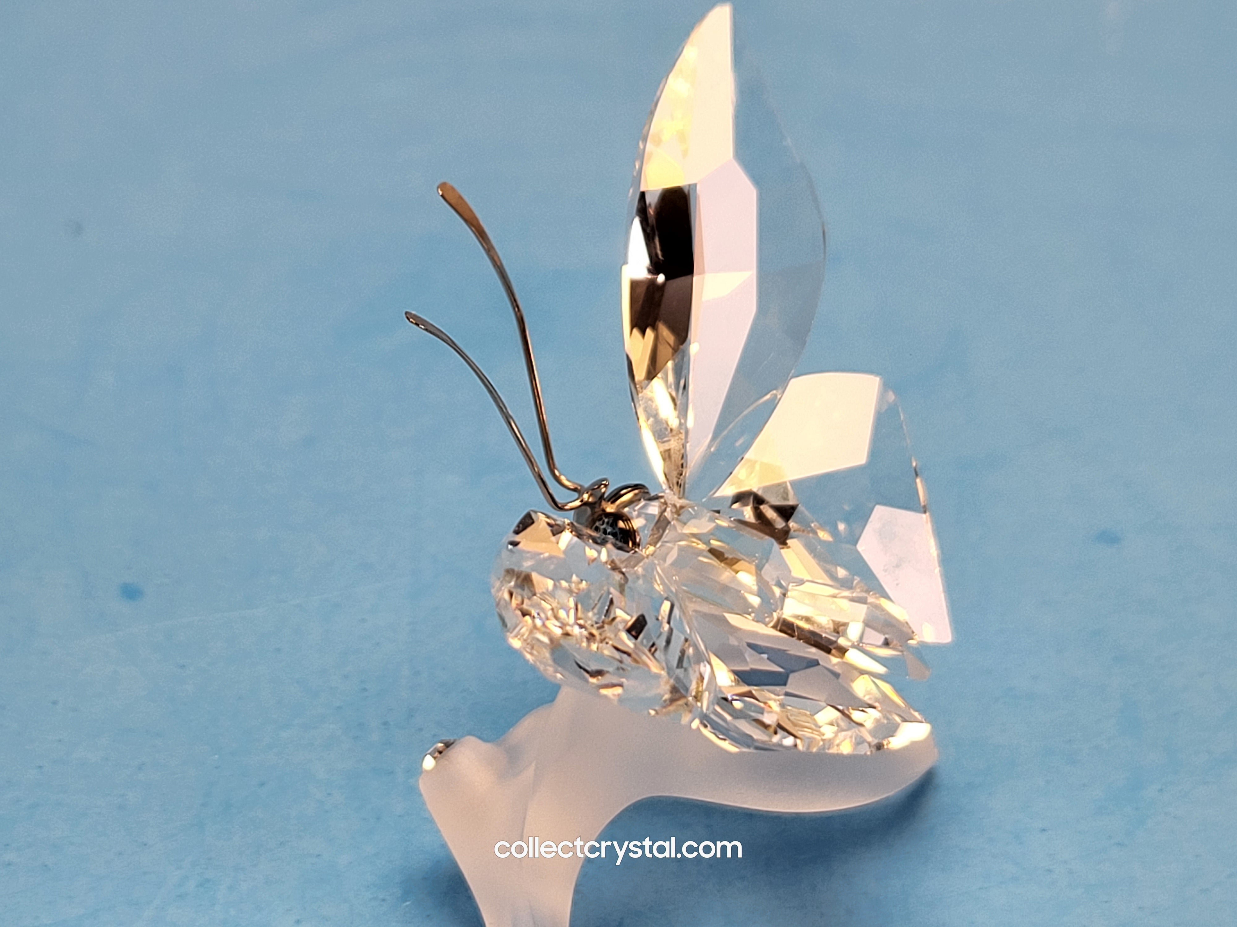 BUTTERFLY ON LEAF 182920 – Collect Crystal