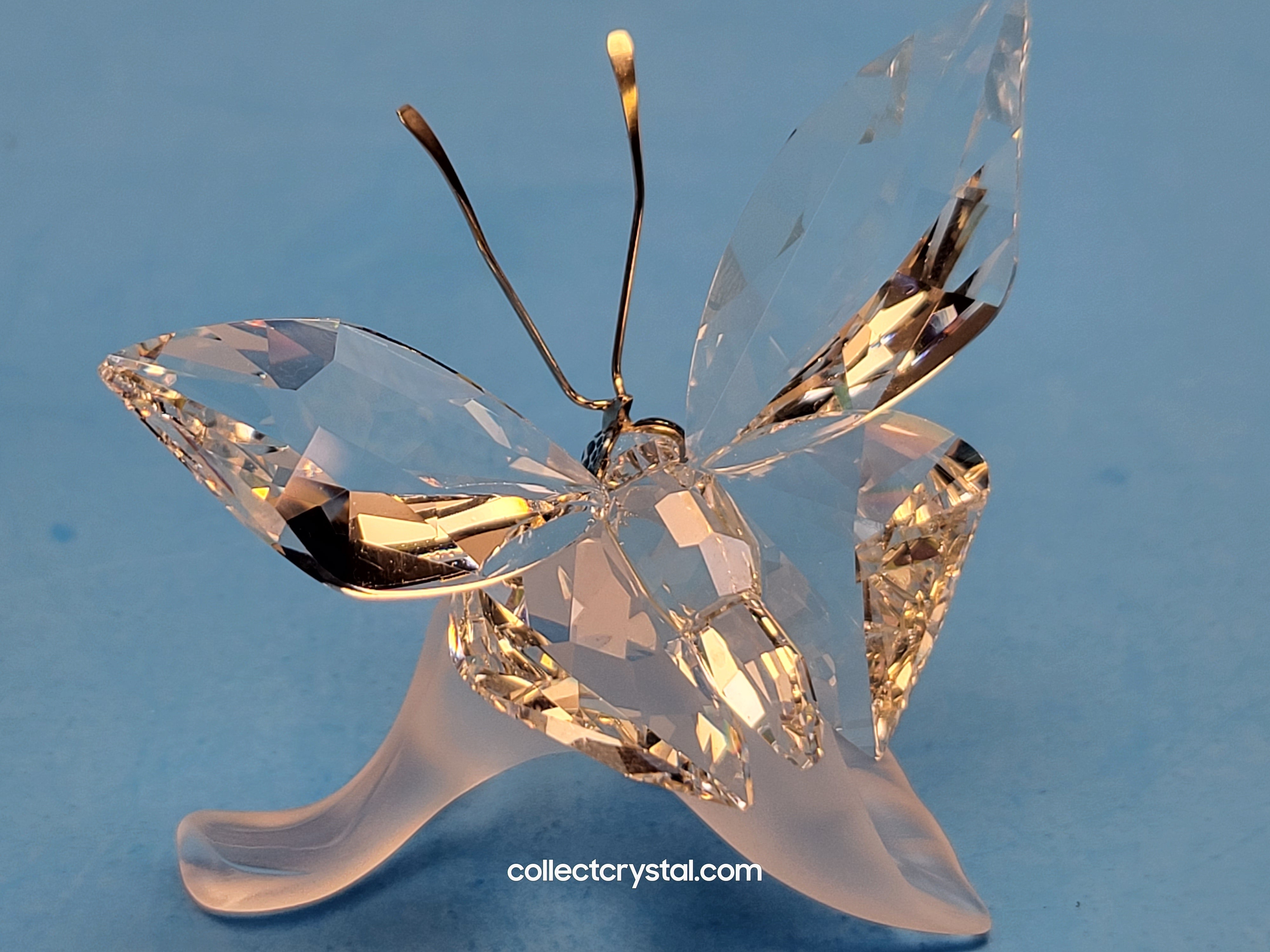 BUTTERFLY ON LEAF 182920 – Collect Crystal