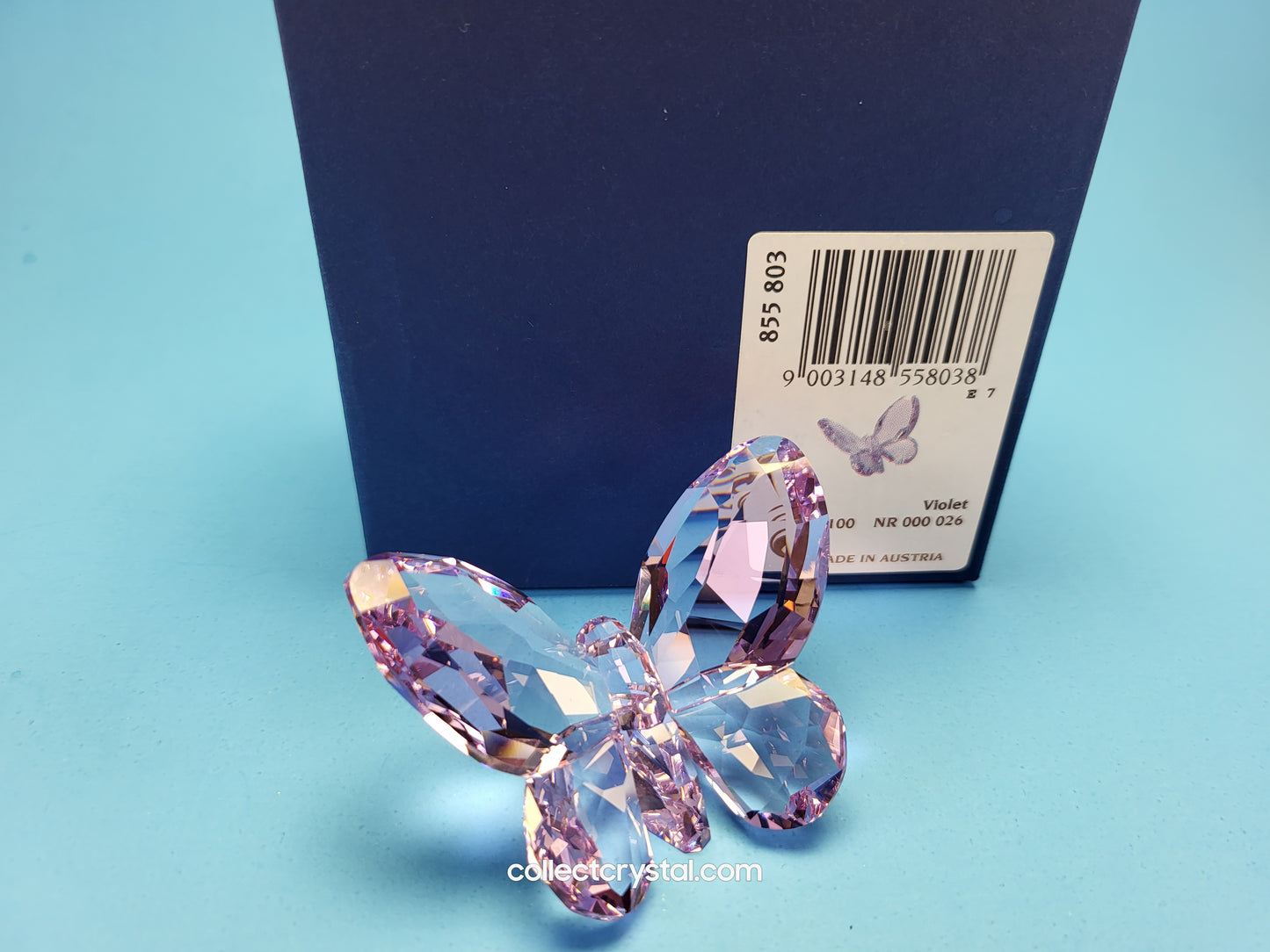 BRILLIANT BUTTERFLY – VIOLET 855803