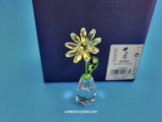 2019 EVENT PIECE FLOWER DREAMS DAISY AB 5529233