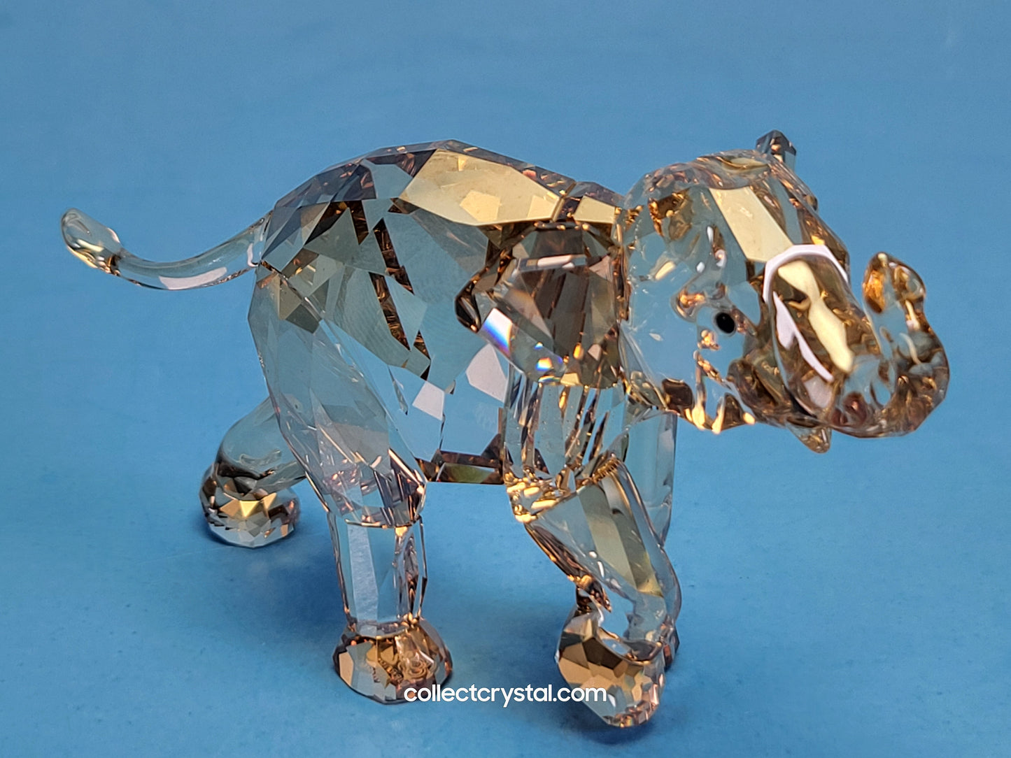 SWAROVSKI 2013 ANNUAL EDITION COMPANION YOUNG ELEPHANT TO GO WITH ANNUAL EDITION ELEPHANT CINTA 1142862