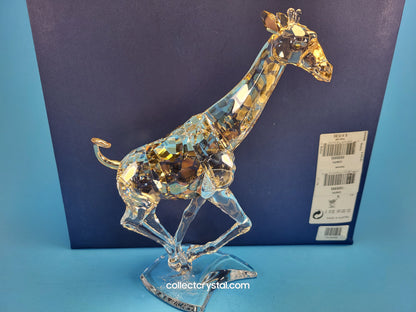 SWAROVSKI GIRAFFE RUNNING 935896