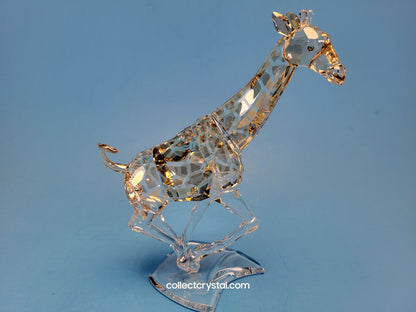 SWAROVSKI GIRAFFE RUNNING 935896