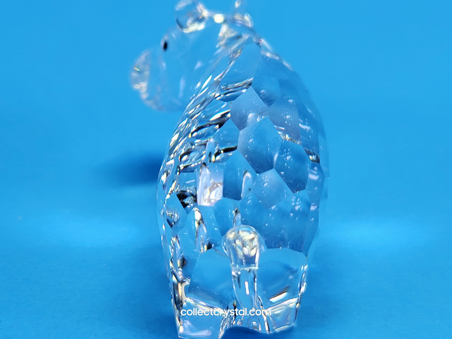 SWAROVSKI HIPPO / HIPPOPOTAMUS 622940