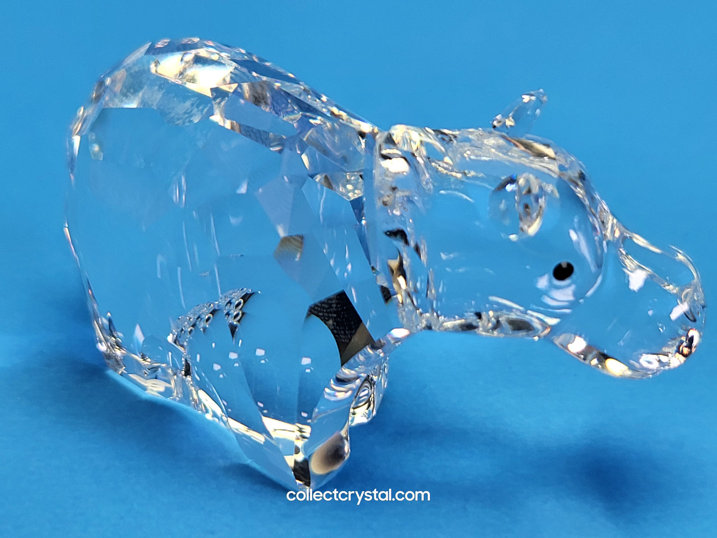 SWAROVSKI HIPPO / HIPPOPOTAMUS 622940