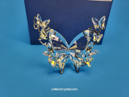 BRILLIANT BUTTERFLY – CRYSTAL AURORE BOREALE AB 5031512