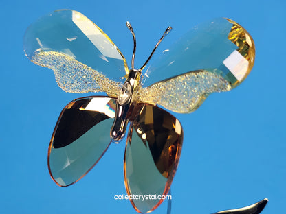 SWAROVSKI CRYSTAL PARADISE BUGS OBJECT – BUTTERFLY ALMINA JONQUIL # 861934