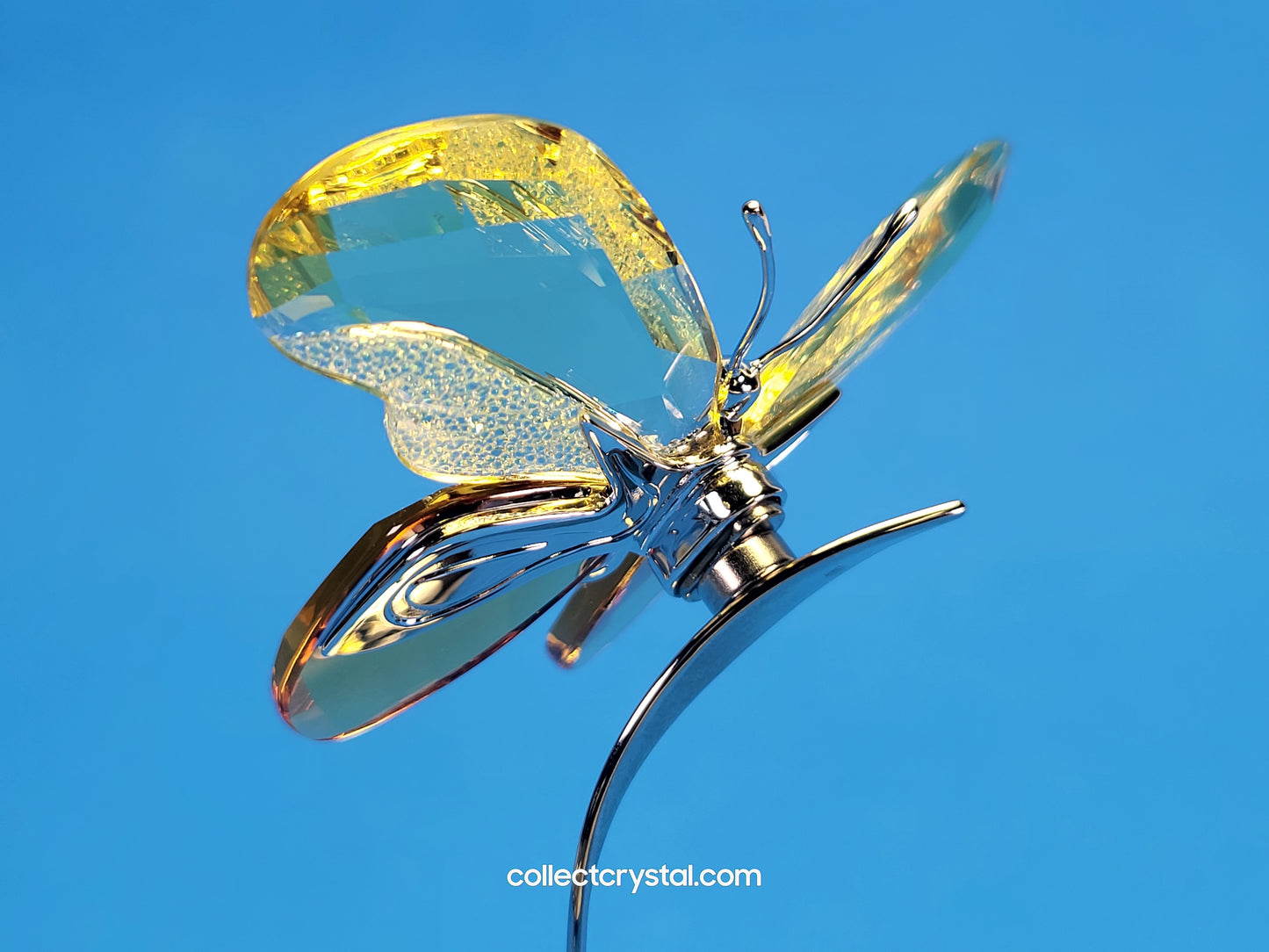 SWAROVSKI CRYSTAL PARADISE BUGS OBJECT – BUTTERFLY ALMINA JONQUIL # 861934