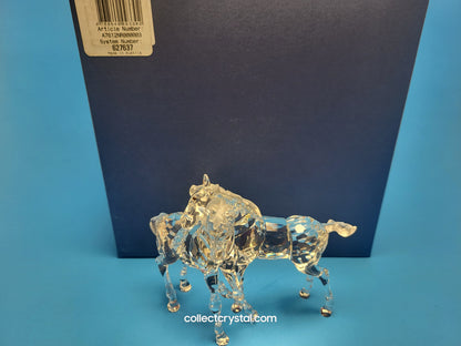 SWAROVSKI FOALS CLEAR 627637