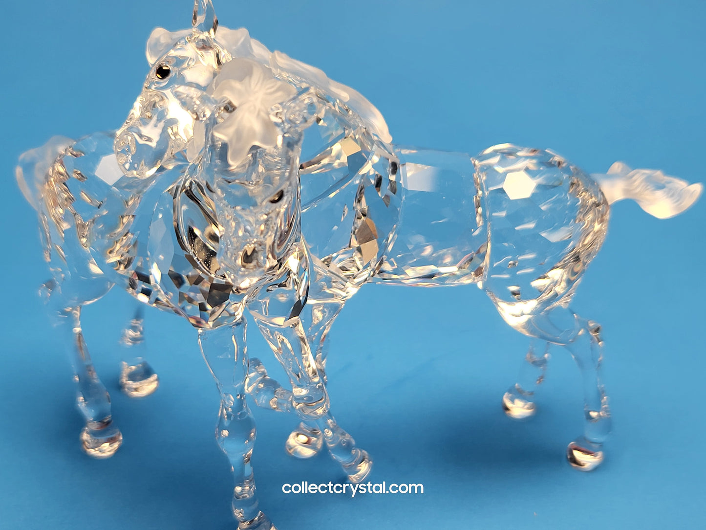 SWAROVSKI FOALS CLEAR 627637