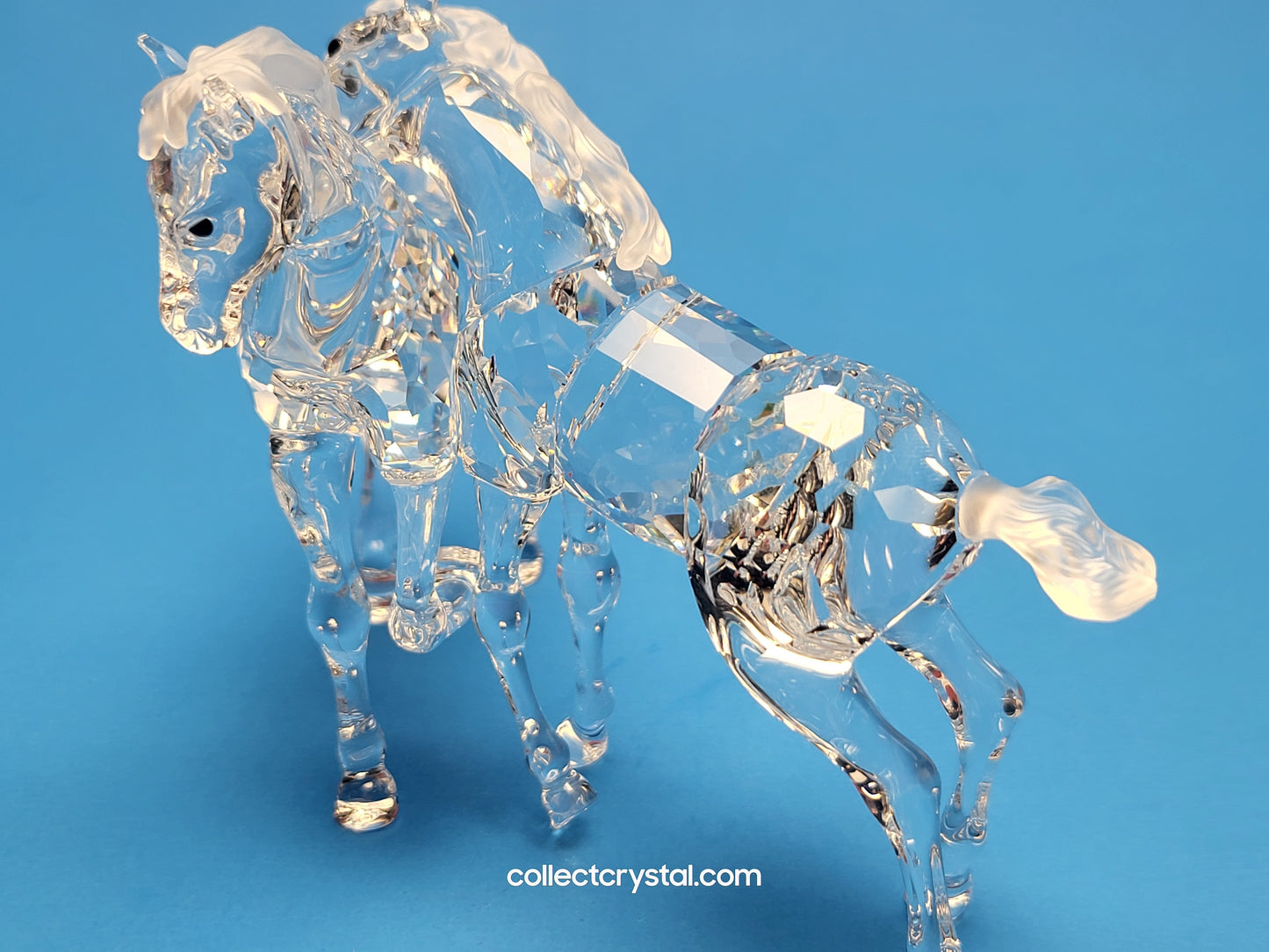 SWAROVSKI FOALS CLEAR 627637