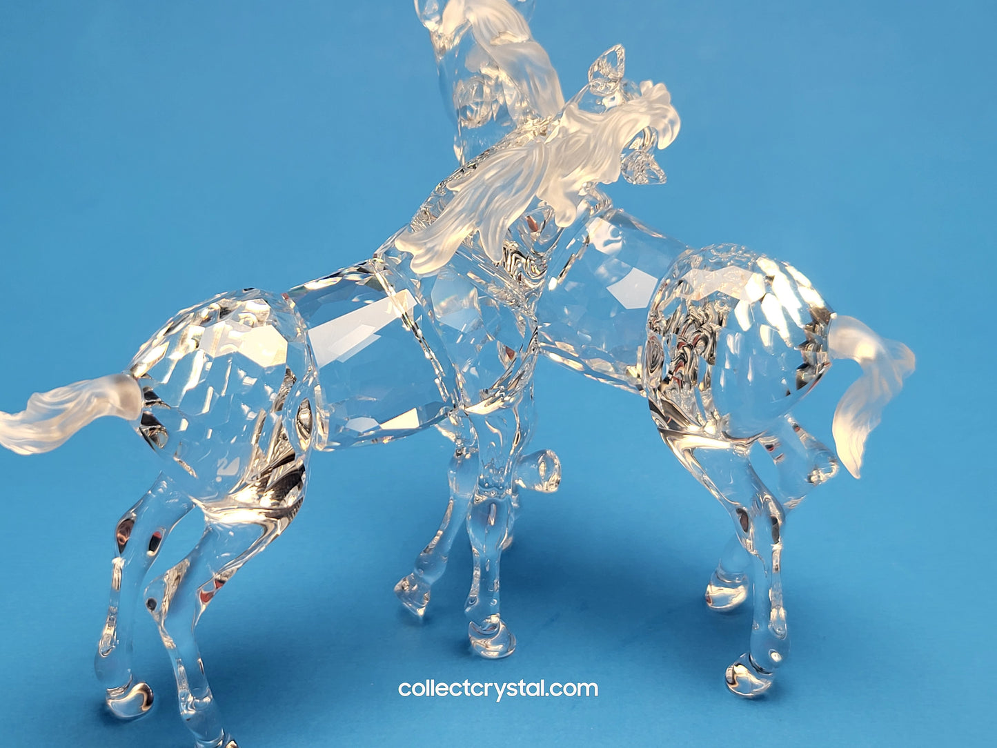 SWAROVSKI FOALS CLEAR 627637