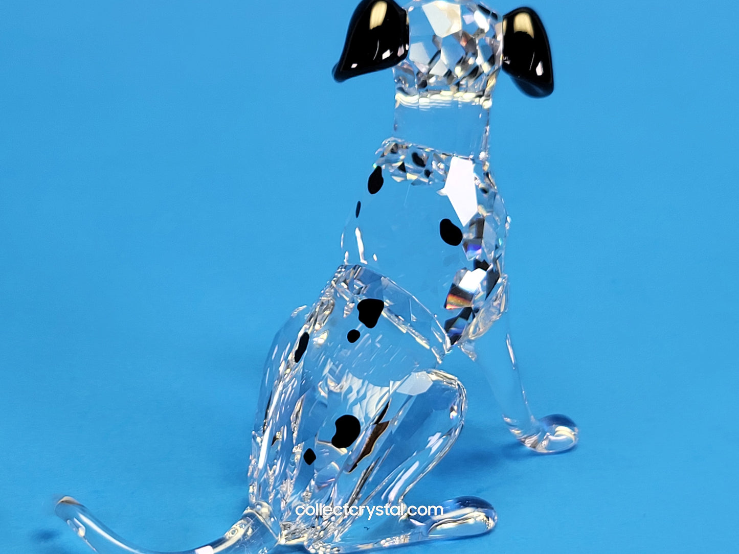 DALMATIAN Dog MOTHER # 628948