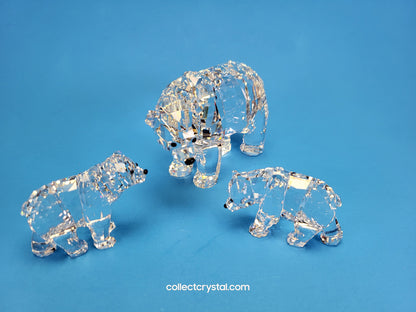 SWAROVSKI BEAR BROTHER 866407