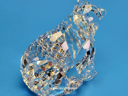 SWAROVSKI GRIZZLY 243880