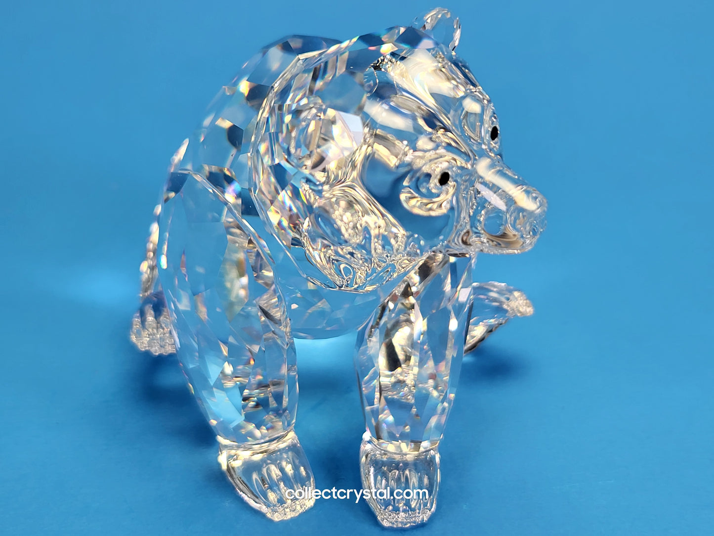 SWAROVSKI GRIZZLY 243880