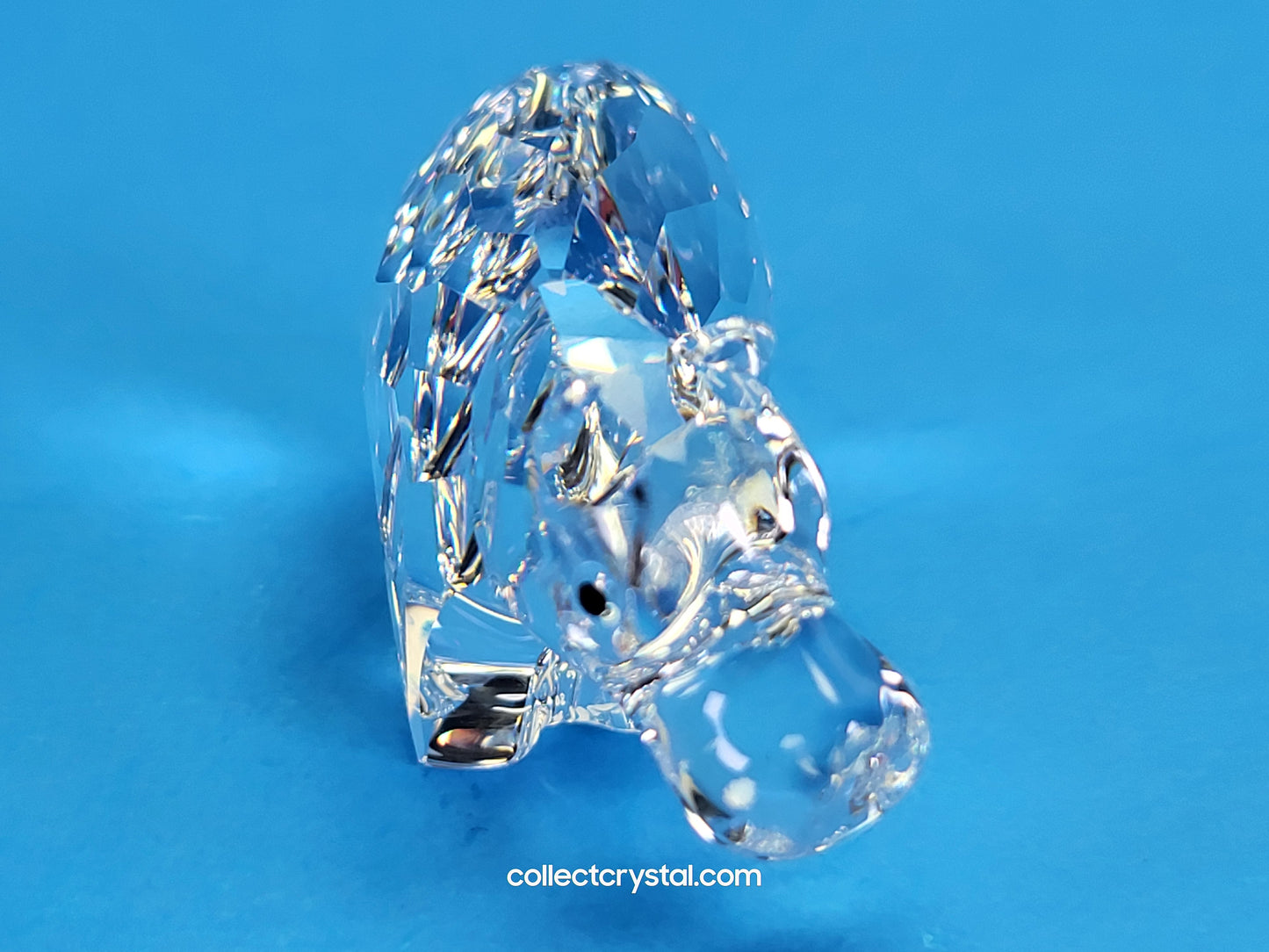 SWAROVSKI HIPPO / HIPPOPOTAMUS 622940