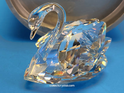 SWAN MEDIUM 010006