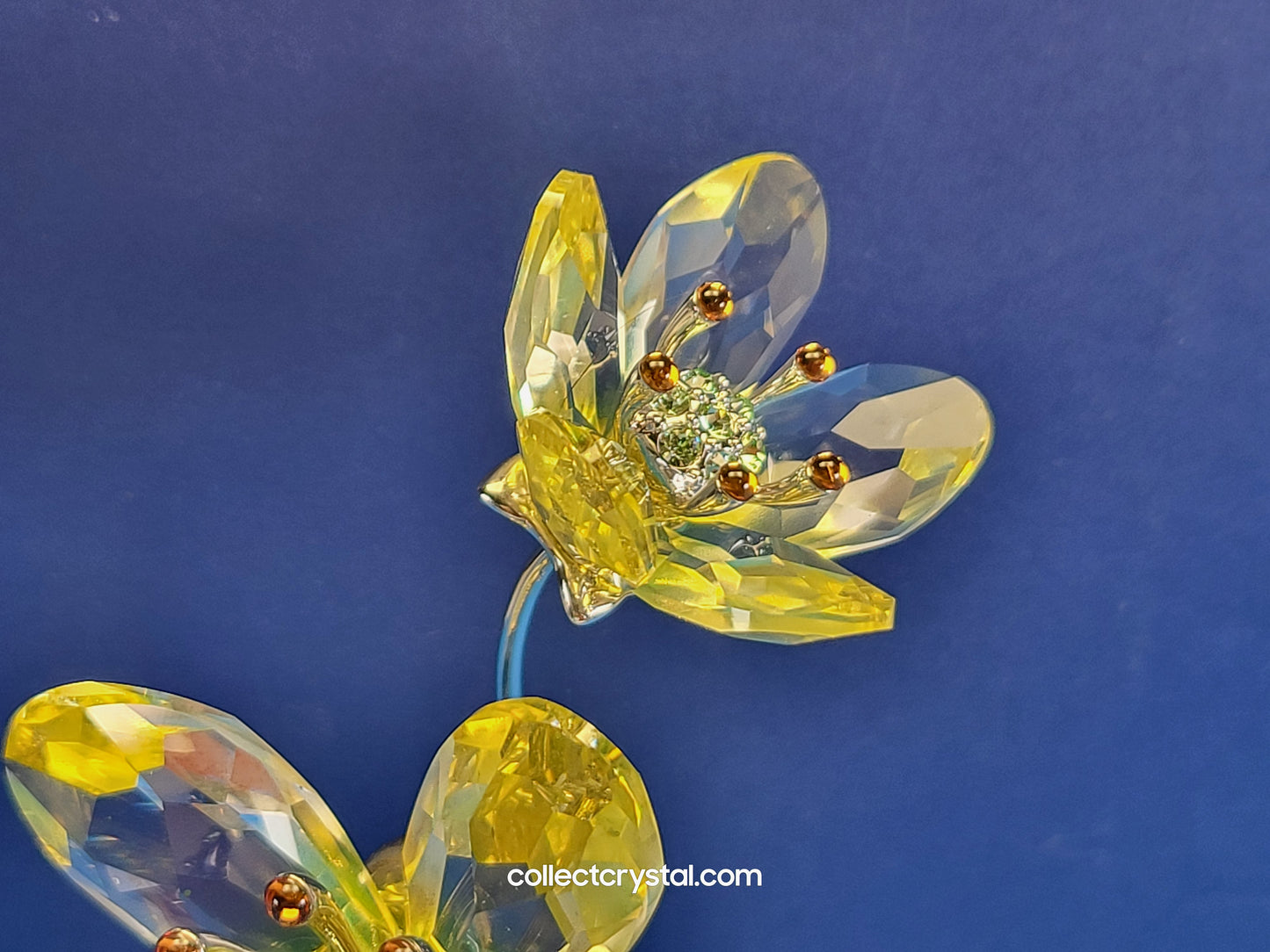 CRYSTAL PARADISE FLOWERS – DEORIA CRYSTAL YELLOW 957583 680060