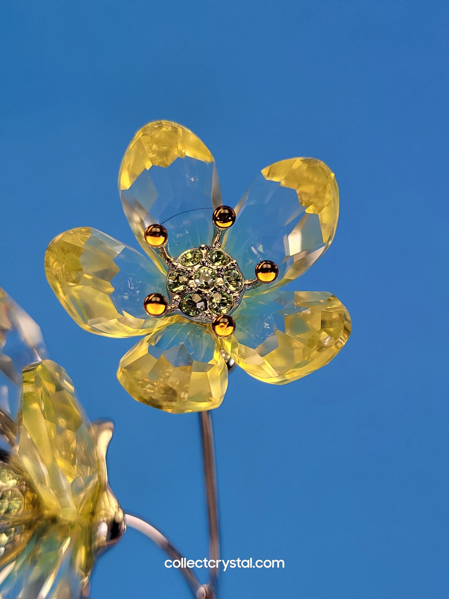 CRYSTAL PARADISE FLOWERS – DEORIA CRYSTAL YELLOW 957583 680060