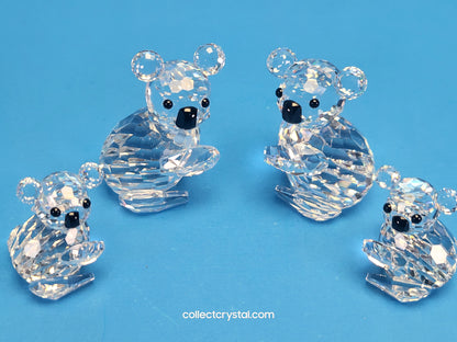 Koala Family Set 014366, 119472,