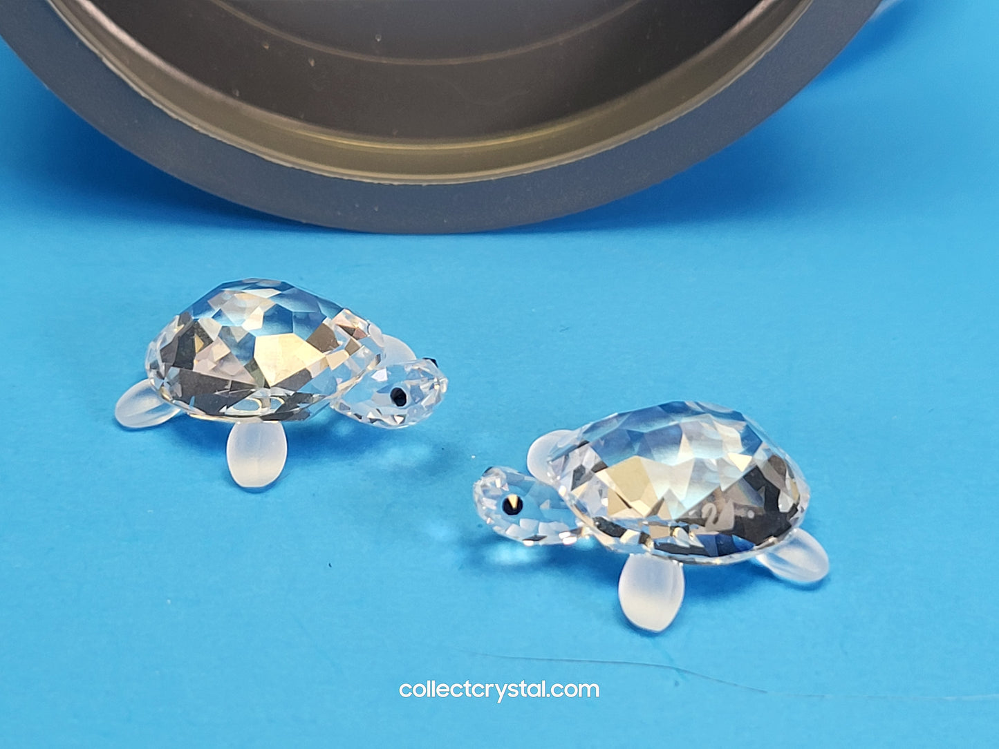 TORTOISES BABY Turtles Set of 2  # 220960