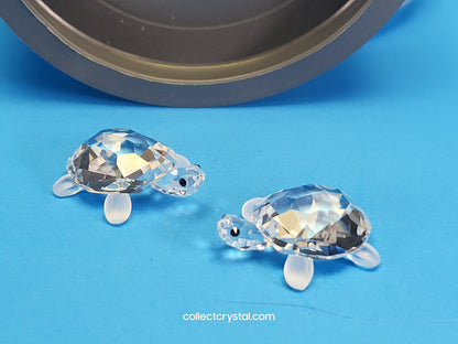 TORTOISES BABY Turtles Set of 2  # 220960