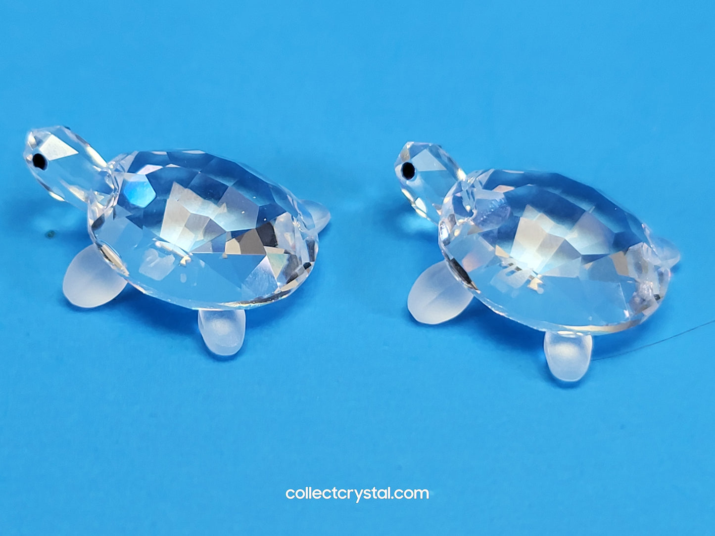 TORTOISES BABY Turtles Set of 2  # 220960