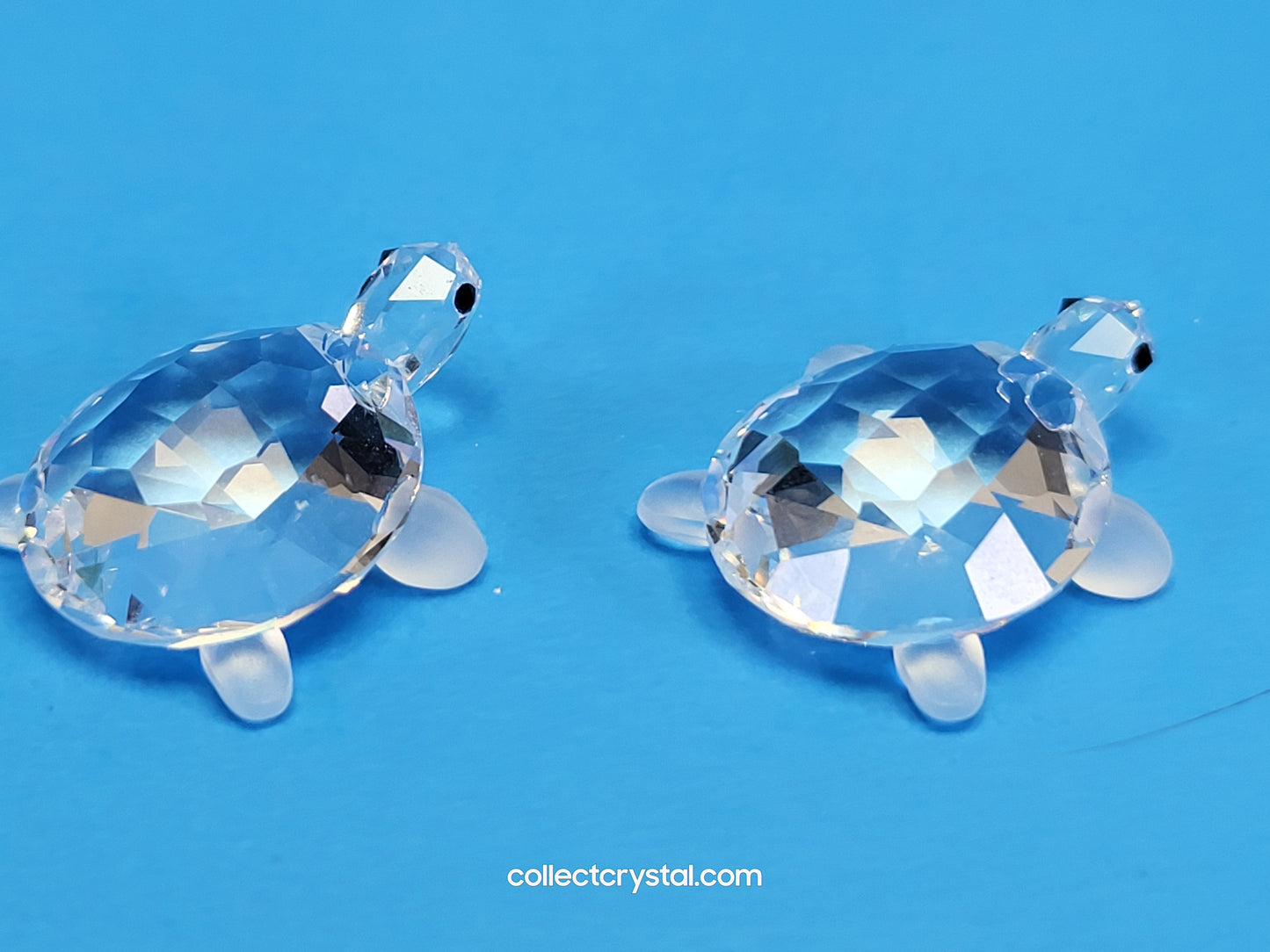 TORTOISES BABY Turtles Set of 2  # 220960