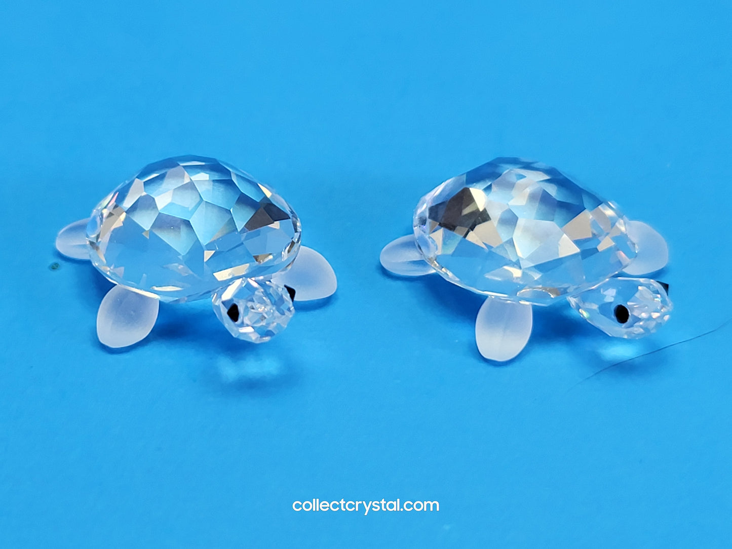 TORTOISES BABY Turtles Set of 2  # 220960