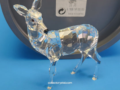 Swarovski Crystal Standing Doe Deer Rare Encounters - 247963 or 7608 000 003