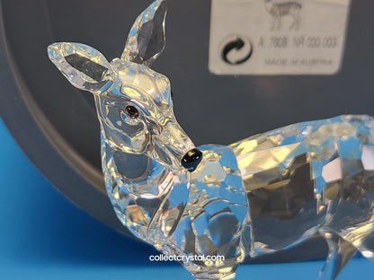 Swarovski Crystal Standing Doe Deer Rare Encounters - 247963 or 7608 000 003