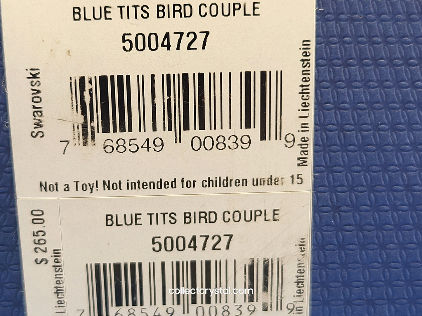 BLUE TITS / CHICKADEES 5004727