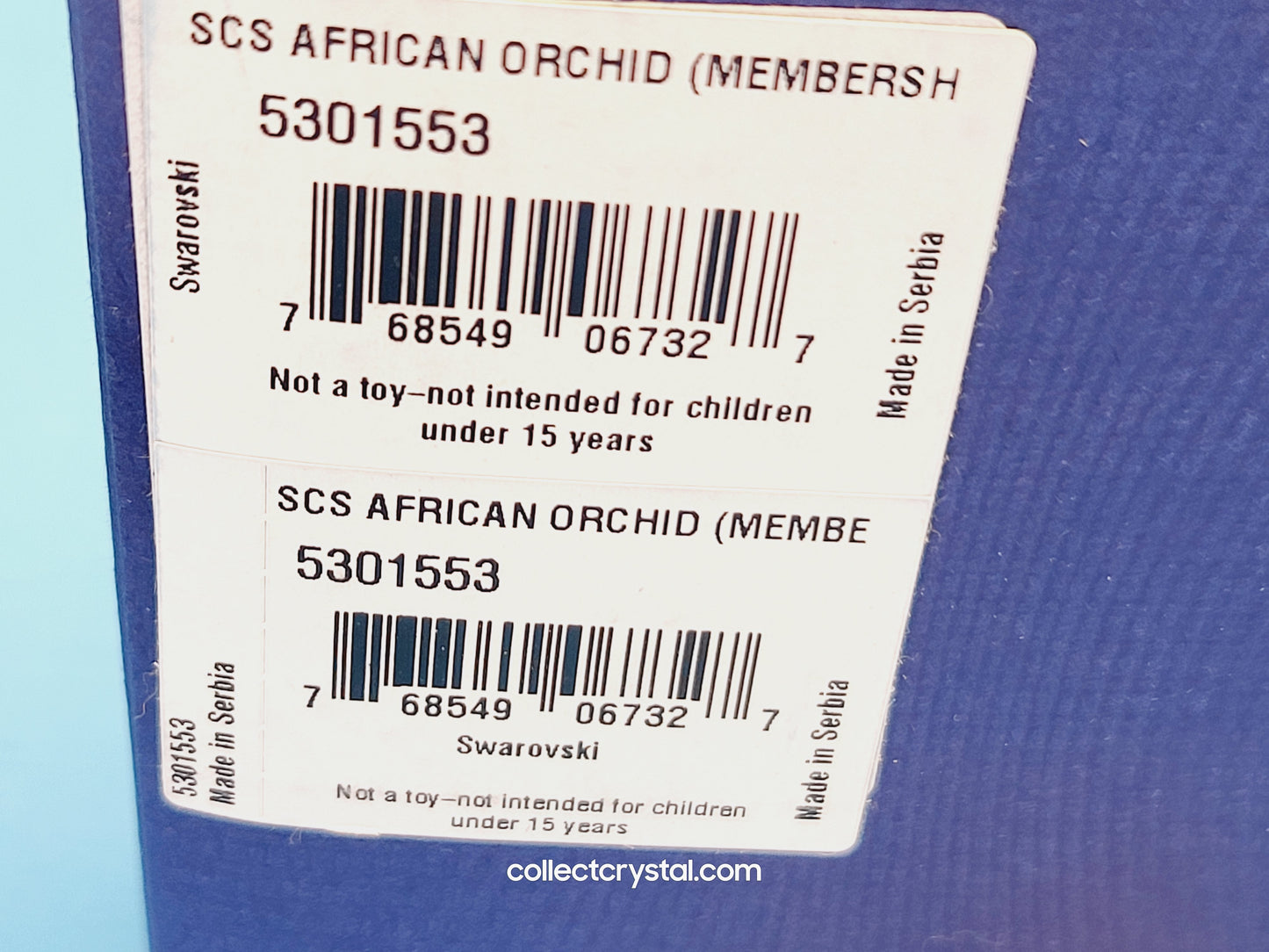 SCS African Orchid Members 5301554