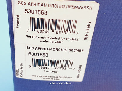 SCS African Orchid Members 5301554